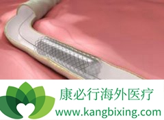 ����ҽ�Ƹ�������Ĳ�������������֧�����ָ��ã�