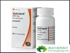 ����ʹ����������(VOTRIENT)�ľ����ע������