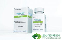 ��³����(IBRUTINIB)������������Խ�����