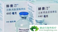 �����鵥��(Herceptin)���Ƶ�HER 2���ٰ�����û��Ч��