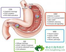 ���Ű�֢״���ճ������������յ�Ԥ������