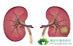 ����֢״����Щ��������Щ�����������������