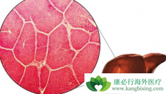 ���ڸΰ����߳���������/��̹�ܸ�������������