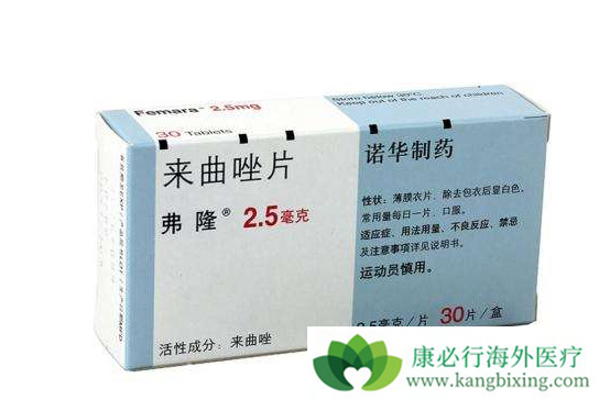 ������Ƭ