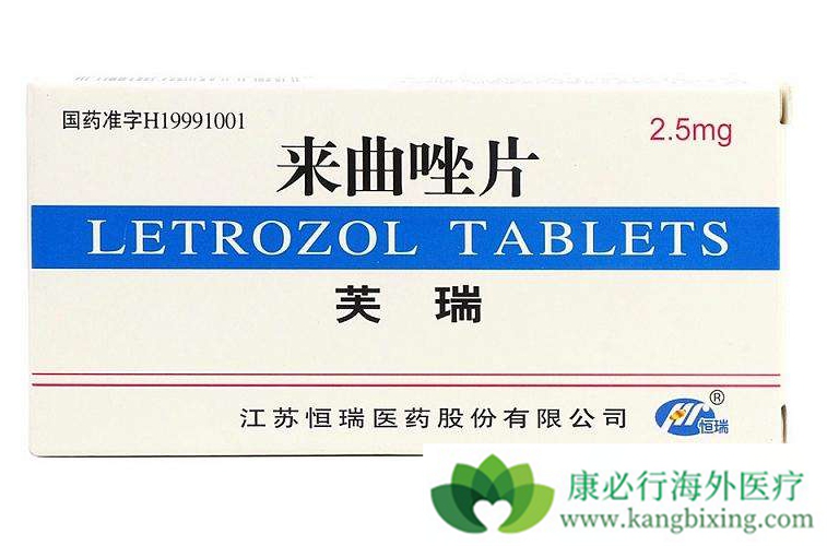 ������Ƭ