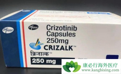 ALK���Եļ�����ϵ��Ѫ�����߳Կ�������(Crizotinib)������