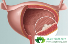 ��ķ����(pembrolizumab)���ư��װ�����Ч��Ϊ29%