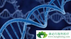 ����ҽ�Ƹ�����������󲿷�ʱ�򲻻�Ӱ�����ǵĽ���