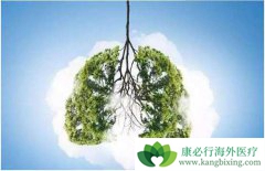 �ΰ����Ƶĸ���������Щ������λ��������еķΰ����ˣ�