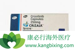 �ϼ������������(Xalkori)���û����������ģ�