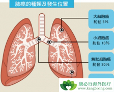 �ΰ������ܻ���������Щ������������