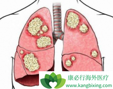 �ΰ������ܻ���ȡ���ڻ���������̬���ʵ�����