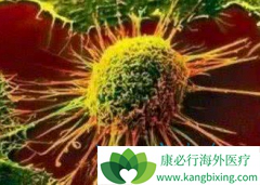 ���ǶȰ�(lenalidomide)/�����Ȱ�ά������DLBCLЧ����ô��