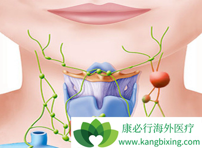 来那度胺 来那度胺