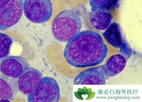 雷利米得 雷利米得