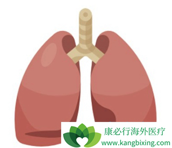 �ΰ����ڵ�֢״