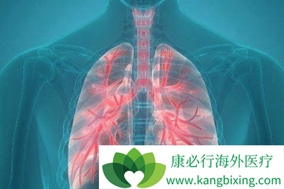 �ΰ����ڴ�Ⱦ��