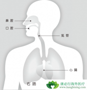 �ΰ����ڳ�ʲô�������ڲ��黺��