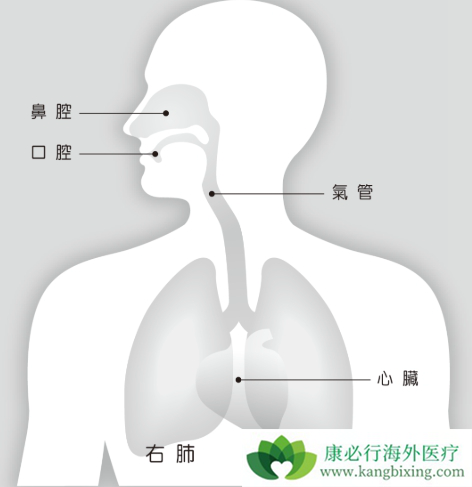 �ΰ����ڳ�ʲô��