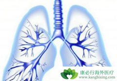 ���Ԥ���ΰ��������ΰ��������κ���