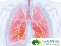 �ΰ�������������Щ�������û��߻���