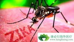 �ú���ҽ��ͷʹ��zika�������ܱ����������԰�