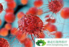 ˳�������Ʒ�Сϸ����ҩ��˳���Ĳ�����Ӧ��ô�����