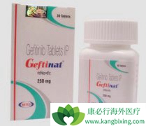 С���ɸ�������α���������ӵ�ӡ������ɳ��