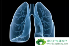 �ΰ������ܻ��Ӧ�������Ƿ�ʱ