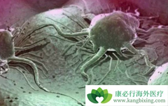 �ΰ�������ʳ��ô�������ڻ��߲���