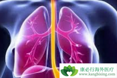 ������/���ᰣ������Ƭ�ɳ�Ϊ��ת�Ʒΰ����ߵ���ѡ��