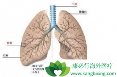 �ΰ�����������������Ʒΰ�����