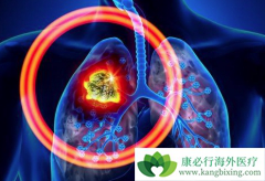 �ΰ����ڿ����κ���?������Ʒΰ�����