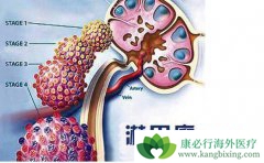 �ܰ�����������ᷢ��2��������ǧ��Ҫ����