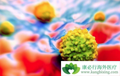 �ΰ����ڻ��о�������ܹ�����