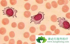 �������θ����ļ���B�ܰ�ϸ����Ѫ���ķ�������Щ