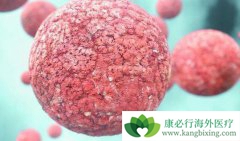 ʲô�����׵��ܰ������ǻ�����ܰ��������Ʒ�������Щ��