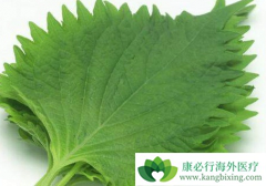 �ΰ�����ƫ���Ի������念���а�����