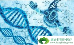 �����Դ�Bϸ���ܰ���������֢״����