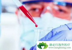 �ΰ���������ƫ����ô����Ч���������