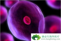 ԭ�����ݸ���Bϸ���ܰ��������Ʒ���������Щ