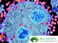 ���׵���(Romidepsin)����תHIVǱ���ڶ���Ӱ��Tϸ������