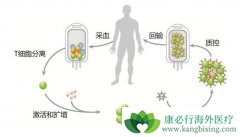 ǳ��CAR-T�Ʒ�Ŀǰ�����ٵļ�������