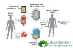 CAR-T�Ʒ��䴦���𲽽׶ε�δ������