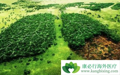 ʲô����������������Ƿΰ�������ǰ