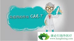 ʲô��CAR-T��CAR-T�ĸ���������Щ��