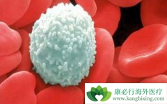 ѪҺ���������ƹ����л���ֵ��Ĵ��ۺ���