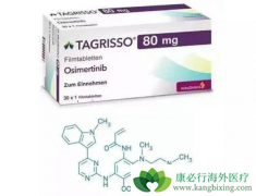 ӡ��ҩ�������İ�ϣ����(Tagrisso)/̩��ɳ�Ƿ���ҩ��