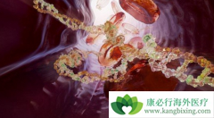 AZD9291/̩��ɳ(TAGRIX)��׼����ʱ���ֳ����������ƻ������