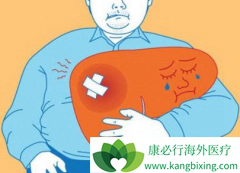 �ΰ����ڷ���ӡ�ȶ༪��(SORAFENIB)���ӳ���õ�������